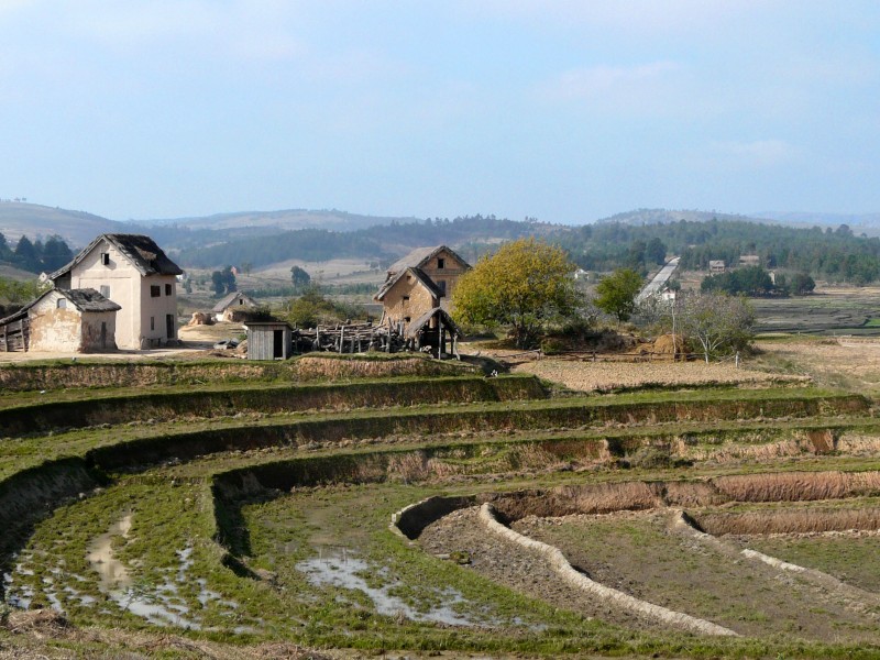 MA08014 copie.jpg